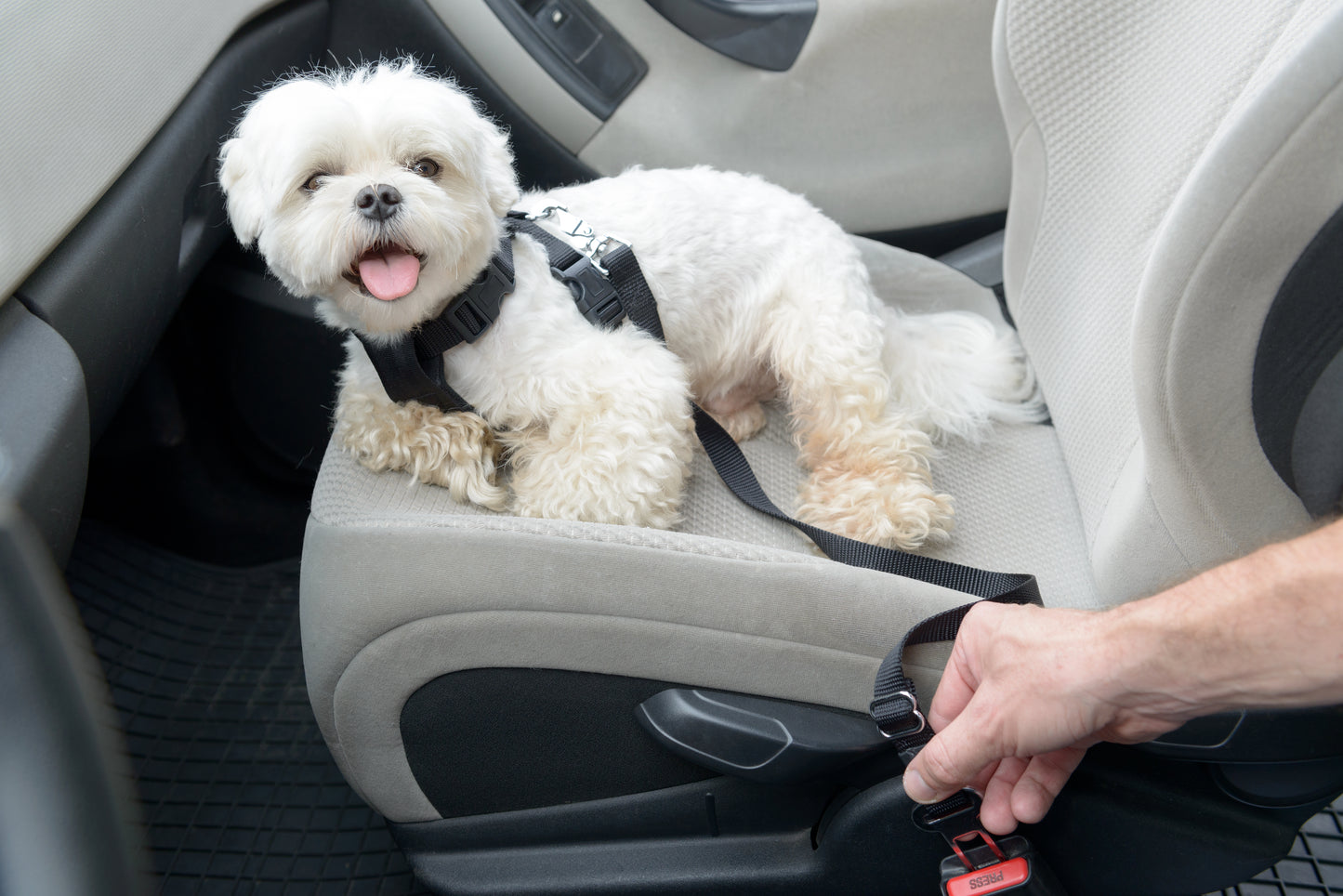 Adjustable Dog Car Seat Belt – Safety Tether for Pets (Black, Red, Blue, Green, Purple)